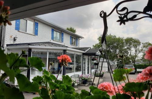 Niagara Falls Hotel | Blue Moon Motel