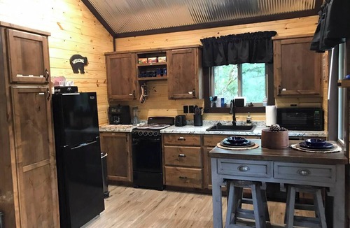 Whitesboro Cabin | Bluebird Treehouse Big Cedar Wilderness Cabins