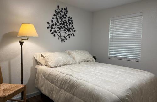 Mount Pleasant House | Casa del Sol Guesthouse