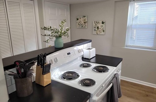 Joslyn Castle Apartment | Chic Midtown Apartment – Steps to Blackstone & Dundee