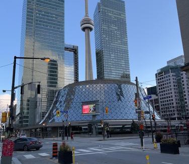 Financial District House | City Centre Suite, Steps to UofT, TMU, Yonge-Dundas Square