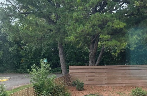 Fayetteville House | Close to Swimming holes,we’re on the trail,brewery next block & music on Dickson