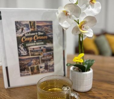 Corner Brook Apartment | Cozy Corner in Corner Brook