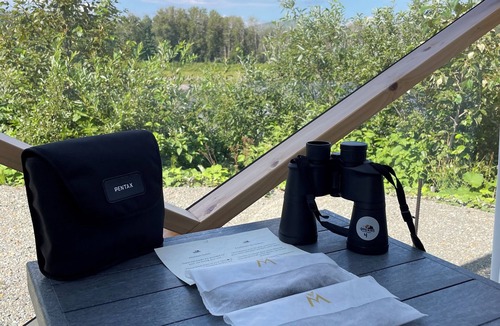 Listuguj Mi'gmaq First Nation Ski Chalet | Dôme 6: Waterfront-HotTub-AC-BBQ-Kitchen-Bathroom