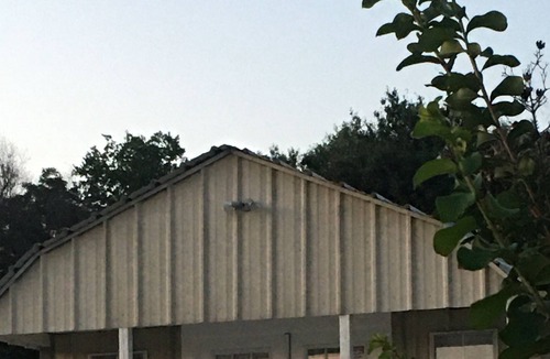 Tool Cabin | Down on the Farm!