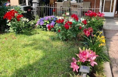 Trinity - Bellwoods Apartment | Downtown Cozy 2 bed rooms apartment