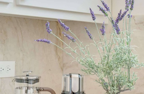 Oak Lawn House | Driem House |Chic | Highland Park Adjacent