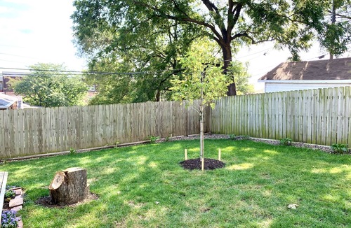Dundee-Happy Hollow Historic District House | Dundee Charm - Fall and Holiday dates going quickly