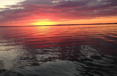 Negreet House | Eagle View Cabin @ Toledo Bend