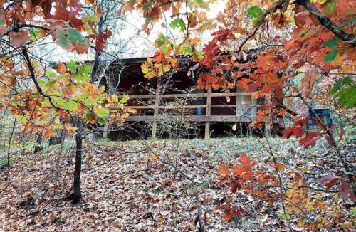 Eureka Springs House | Eastern Red Cabin - Giant Spa Tub, Peaceful Location