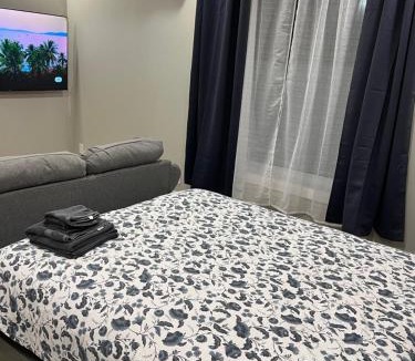 Mount Hope Huron Park Apartment | ENTIRE BACHELOR UNIT EN-SUITE ACROSS FROM GOOGLE - br2
