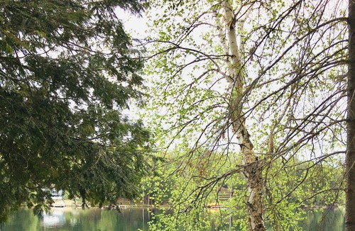 Armour Cottage | Family Friendly Waterfront Cottage on Three Mile lake
