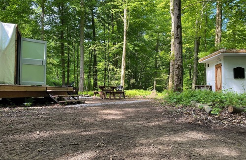 Rodney Cabin | Forest Site Under the stars