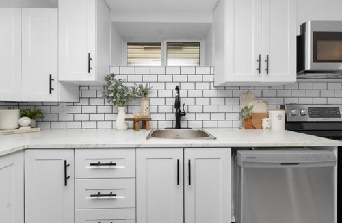 Walkerville House | Fully Furnished 2 bedroom basement in Windsor