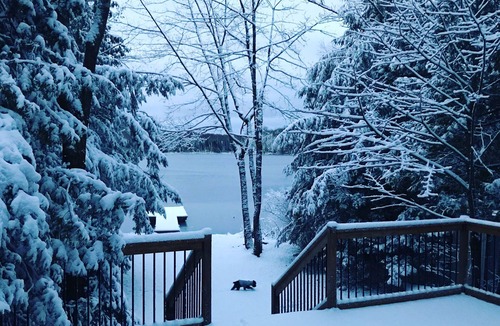 Minden Hills Cottage | Fully renovated 3 bedroom 1 1/2 hours from Toronto
