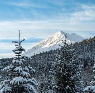 Bear Creek House | Glacier Creek Cabins