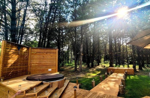 Wills Point Cabin | Gorgeous Beehive Tiny House Surrounded by Trees for a Unique Romantic Getaway near Wills Point, Texas