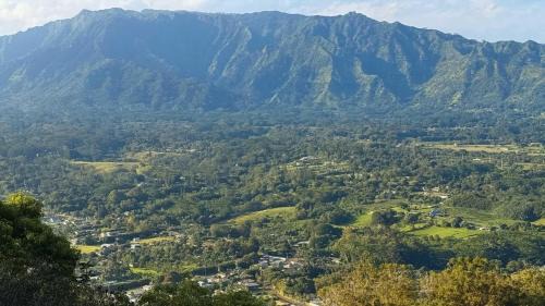 Wailua Apartment | Islander on the Beach 343