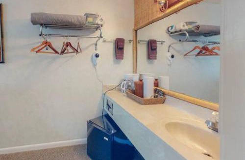 Eureka Springs Historic District Apartment | Jacuzzi Suite 205 at Tradewinds