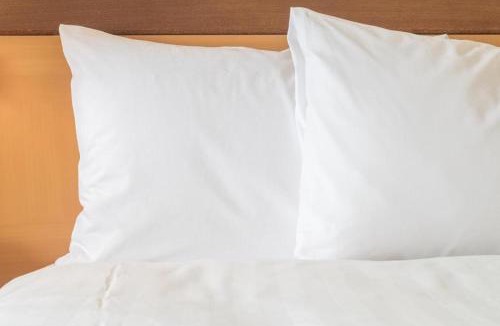 Jackson Apartment | King Bed Hotel Room 221