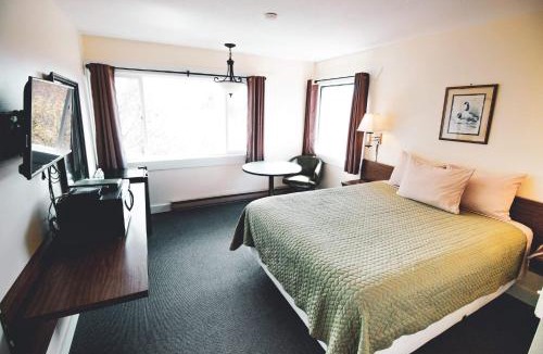 Homer Hotel | Kings Landing