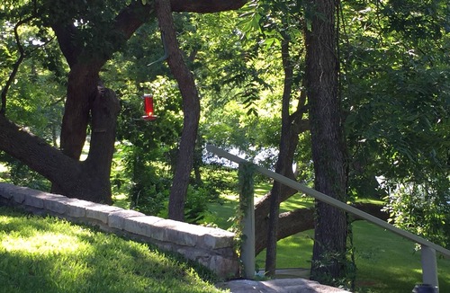 Hunt Cabin | Kipp Cottage - Private Guadalupe Riverfront - 2 Cottages - Sleeps 9