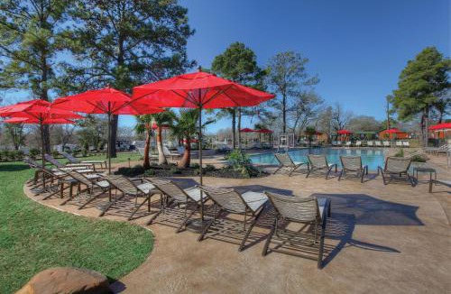 Willis Resort | Lake Conroe One-Bedroom Cabin 3