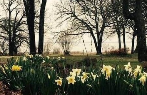 Checotah House | Lake Eufaula Waterfront Retreat: Boat Slip & nearby Sandy Beaches!