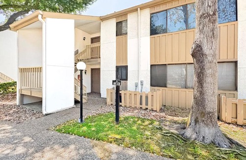 Walden on Lake Conroe Apartment | Lakefront Action Paddle Pickle Pool Sunset