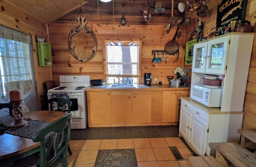 Heber Springs Cottage | Lakefront Cottage Greers Ferry Lake - Steps away from the Beach