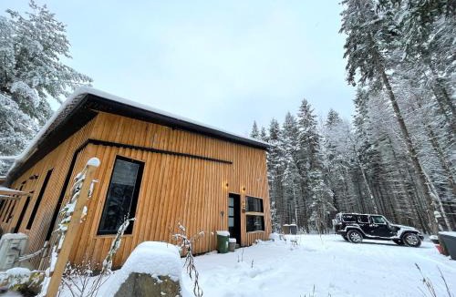 Saint-Mathieu-du-Parc Apartment | Le 1040 St-Mathieu du Parc