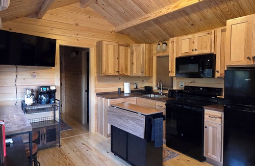 Jones Mills Cabin | Log Cabin with Private Hot Tub, Fire Pit, & King Bed Near Hot Springs