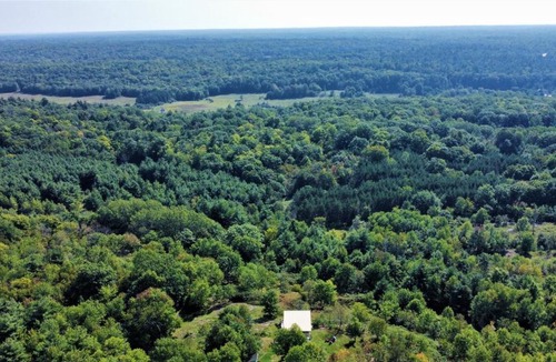 Tay Valley House | Longview Spectacular Forest Views on 88 Acres