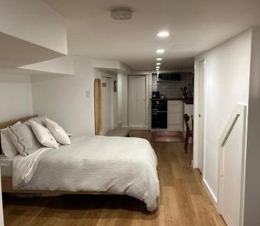 Davenport Apartment | Lower level newly renovated studio apartment in central downtown location