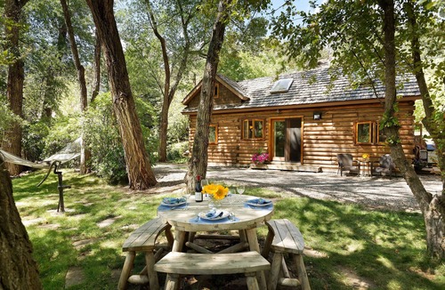 Basalt Cabin | Luxurious Riverfront Cabin on the Frying Pan River - 1 block to Basalt