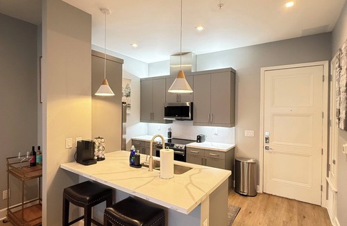 Cedars Apartment | Luxury Modern King Bed Heart of Downtown Dallas