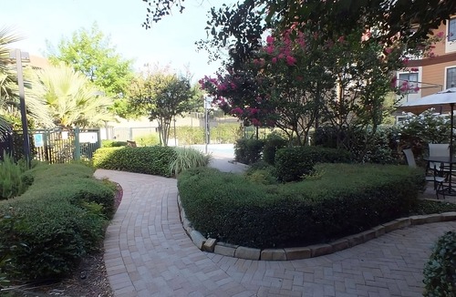 Las Colinas Apartment | Minutes to Grapevine Convention, Free Parking and Breakfast!