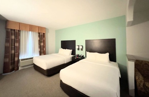 Westchase Hotel | Modern suites designed with your comfort in mind, free breackfast.