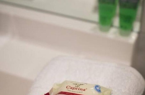 Little Italy Apartment | Palms Little Italy Studio with full bathroom by Denstays