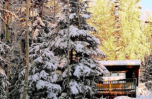 Fairbanks Cottage | Peaceful Hillside Refuge to Enjoy Aurora