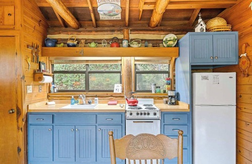 Eureka Springs House | Peaceful Historic Cabin on Lake Lucerne, Fireplace