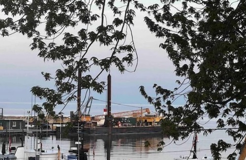 Kingsville Cabin | Pelican Post- overlooking Kingsville harbour!