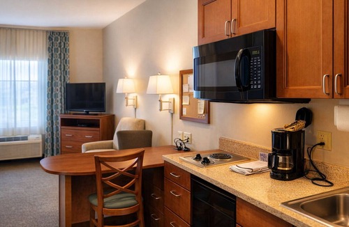 Hot Springs Hotel | Pet friendly Studio Suite with Kitchenette Near Lake Hamilton Adventures