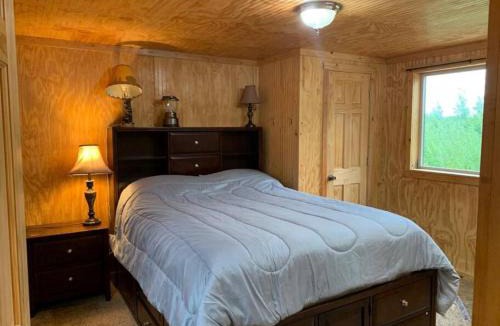 Big Lake Apartment | Pilot Lodge - Entire Cabin on Private Airstrip