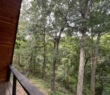 Rogers House | Post Oak Perch-Cozy Forest A-frame Near Bentonville