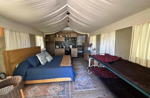 Camp Swift Other | Premium Lakefront Cabin 4 The Cardinal