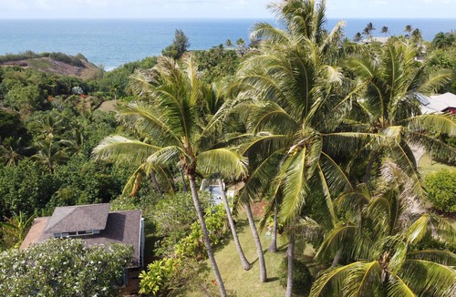 Kilauea House | Private Family Compound with Ocean Views and Two Hot Tubs TVNC#4284