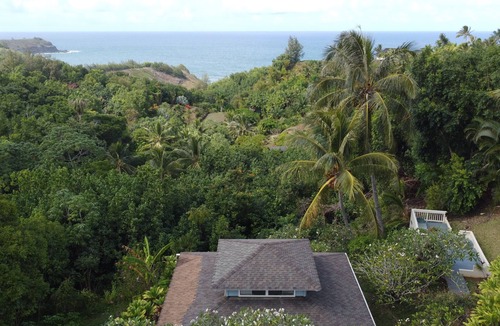 Kilauea House | Private Family Compound with Ocean Views and Two Hot Tubs TVNC#4284