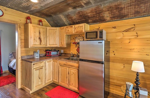 Norfork Apartment | Quaint Norfork Studio w/Million Dollar View!