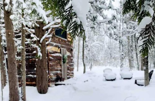 Markdale Cabin | Quaint Off-Grid Cabin with Fire Pit Space in Ontario